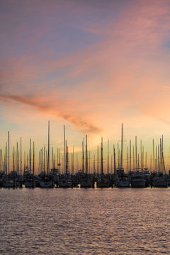 Fototapeta Sailboats in the South Yacht Basin of St. Petersburg, Florida at sunrise