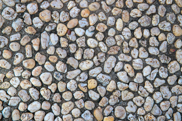 White pebble in concrete path. Top view stone background. Seaside pebble photo texture. Stone paving surface
