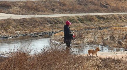 징검다리에 개를 몰고가다