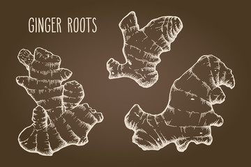 Ginger roots set