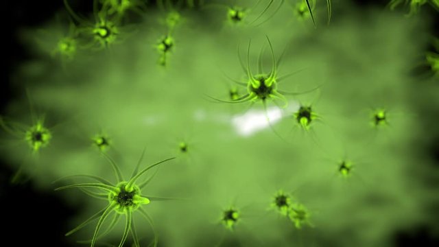 Pathogenic viruses causing infection in host organism