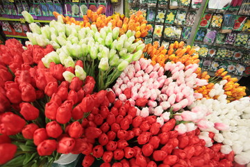 colorful tulips on Amsterdam flower market