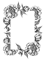 Vector floral frame with peonies and leaves. Linear  graphics, sketch, ink drawing, imitation of engraving.  Hand drawn plants,  line-art on white background. Retro, vintage flowers.