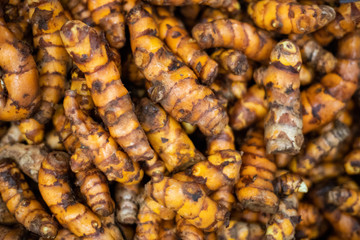 Fresh turmeric root pile. Asian spice texture photo. Healthy ingredient of curry dish or chinese herbal tea.