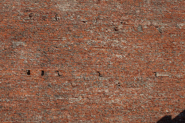the brick wall