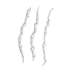 Isolated brick wall crack. Vector illustration design