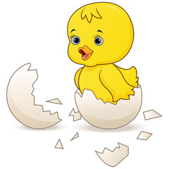 Cute little cartoon chick hatched from an egg isolated on a white background