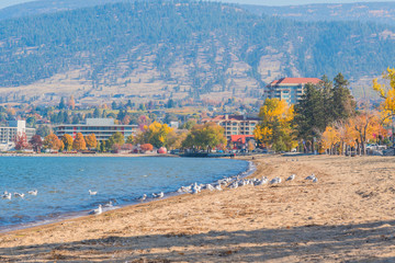 View of Okanagan Beach on  Okanagan Lake and downtown Penticton on sunny afternoon in autumn