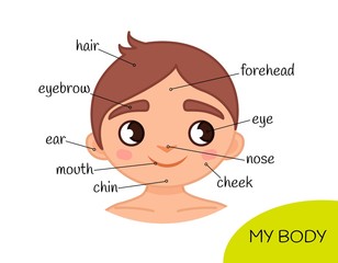 Educational material for children My body. My face.  Illustration of a cartoon boy.