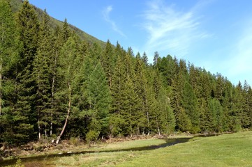 Mountain river near the village of Aktash in the Ulagan district of the Altai Republic. Western Siberia. Russia