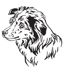 Decorative portrait of Dog Border Collie vector illustration
