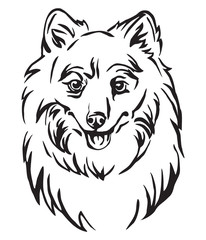 Decorative portrait of Dog Japanese Spitz vector illustration