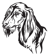 Decorative portrait of Dog Saluki vector illustration