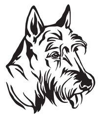 Decorative portrait of Dog Scottish Terrier vector illustration