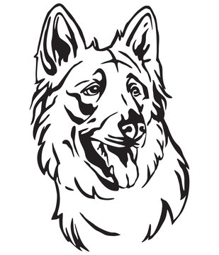 Decorative portrait of Dog Berger Blanc Suisse vector illustration