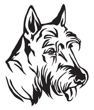 recommend clip art: Decorative portrait of Dog Scottish Terrier vector illustration