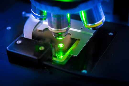 laborat&oacute;rio gen&eacute;tico 