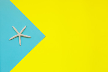 Starfish on blue and light yellow paper in top view.Creative concept. Sunny summer Still life. Bright Sweet fashion Style. Flat lay. 