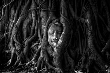 Buddha head covered by roots of a tree in Mahathat temple at Ayutthaya Thailand