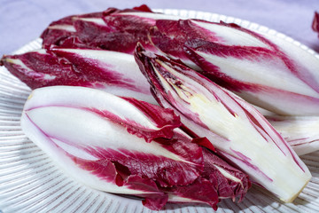 Fototapeta premium Group of fresh red Radicchio chicory or Belgian endive vegetables, also known as witlof salade