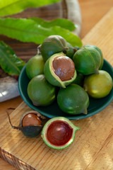 New harvest of ripe fresh Australian macadamia nuts in shell with leaves