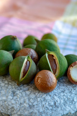 New harvest of ripe fresh Australian macadamia nuts in shell with leaves