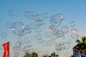 Many soap bubbles in air over beach, blue sky, outdoor fun for everybody