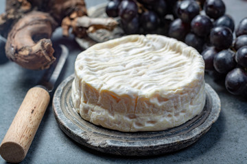 French soft Camembert cheese, original Camembert de Normandie close up
