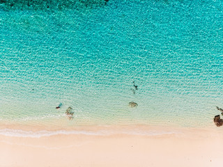 Top view of tropical beach with turquoise ocean water, aerial shot © artifirsov