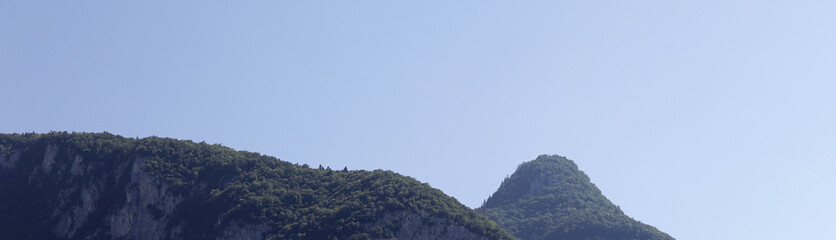 Naklejka premium Forest Hills