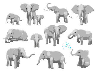 Obraz na płótnie Canvas Various Elephant Poses Cartoon Vector Illustration