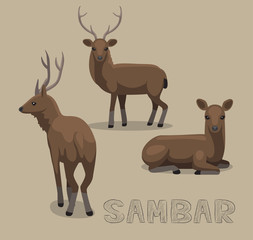 Deer Sambar Cartoon Vector Illustration