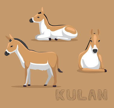 Donkey Kulan Cartoon Vector Illustration