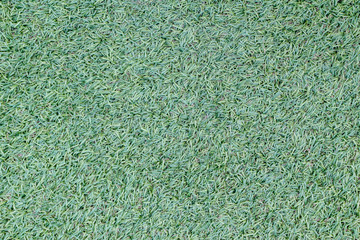 artificial green grass