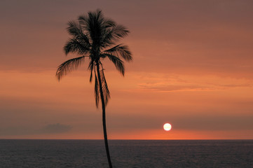 Obraz na płótnie Canvas Hawaiian Sunset 1