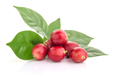 fresh coffee beans with leaf on white background