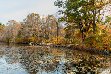 Carriage road running along pond at Borderland