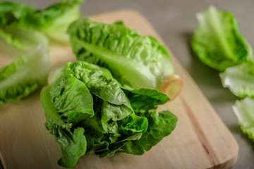 ripe organic green salad Romano on a cutting board