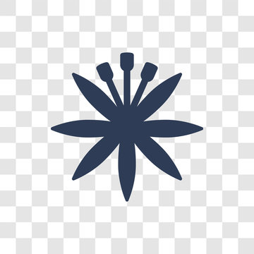 Astrantia icon vector