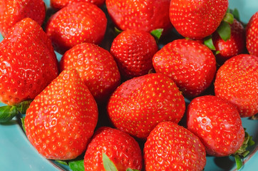 valentines red strawberries in teal blue dish with melted bitter chocolate