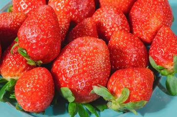 valentines red strawberries in teal blue dish with melted bitter chocolate