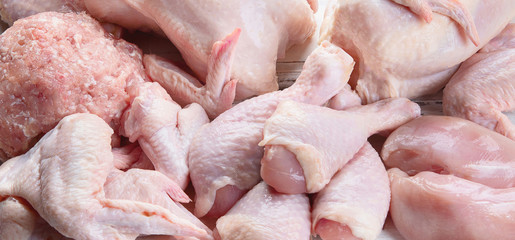 Different types of raw chicken meat