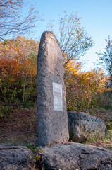 Stele depicting a petroglyph on the bank of the Amur
