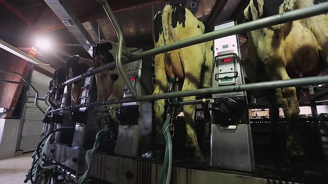 Shutdown of the milking machine. The process of automatically turning off the milking machine.