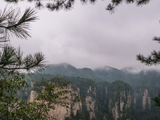 Obraz premium Beautiful mountain of Yuanjiajie or Avartar mountain at Zhangjiajie National Forest Park in Wulingyuan District Zhangjiajie City China in the Foggy day.