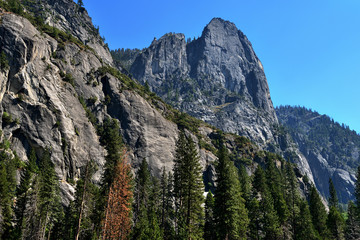 Obraz premium Beautiful landscape in Yosemite National Park, California, USA