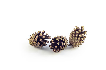  Three pine cones on a white background