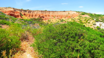 hallett cove conservation park in adelaide, australia