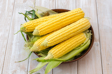 Ripe corn in a clay bowl. 