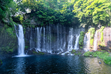 Fototapeta na wymiar 富士宮市 白糸の滝
